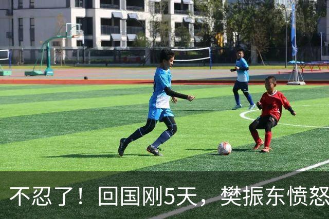 不忍了！回国刚5天，樊振东愤怒发声，原来刘国梁的担忧没错