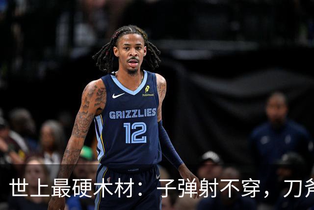 世上最硬木材：子弹射不穿，刀斧劈不烂，却被我国大量收购