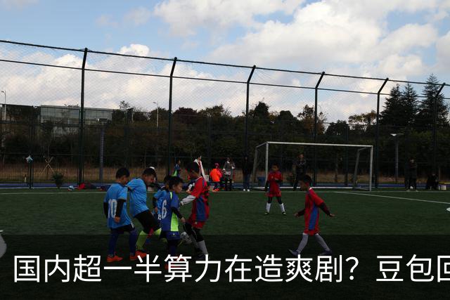 国内超一半算力在造爽剧？豆包回应