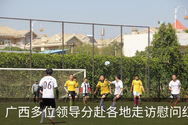 广西多位领导分赴各地走访慰问红军失散人员
