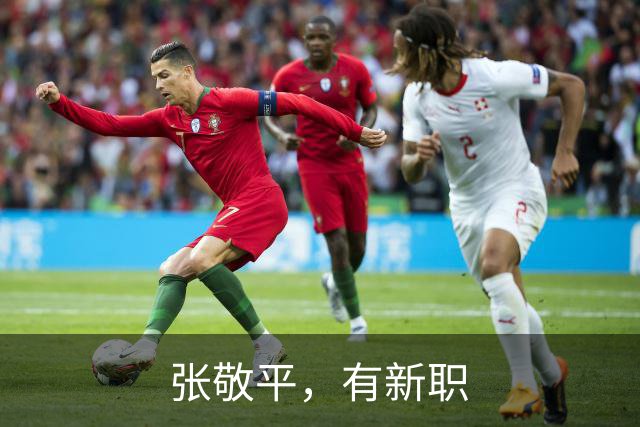 张敬平，有新职