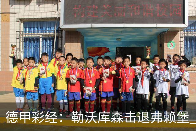 德甲彩经：勒沃库森击退弗赖堡 霍芬海姆难胜门兴