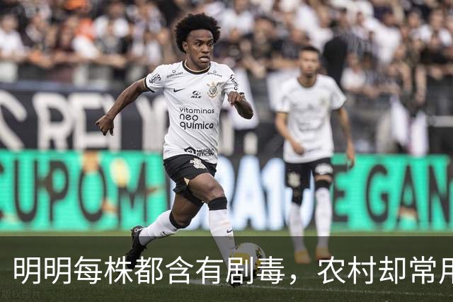 明明每株都含有剧毒，农村却常用来做腌菜，如今为何消失不见？
