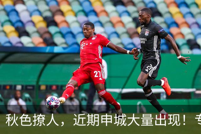 秋色撩人，近期申城大量出现！专家提醒：别摘、别捡、别吃