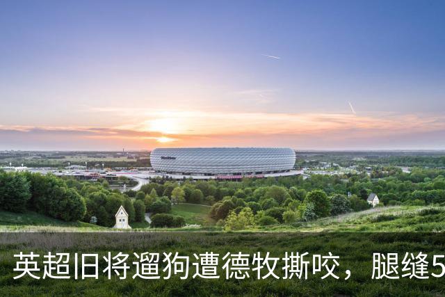 英超旧将遛狗遭德牧撕咬，腿缝50多针，最后是自家狗救了他一命
