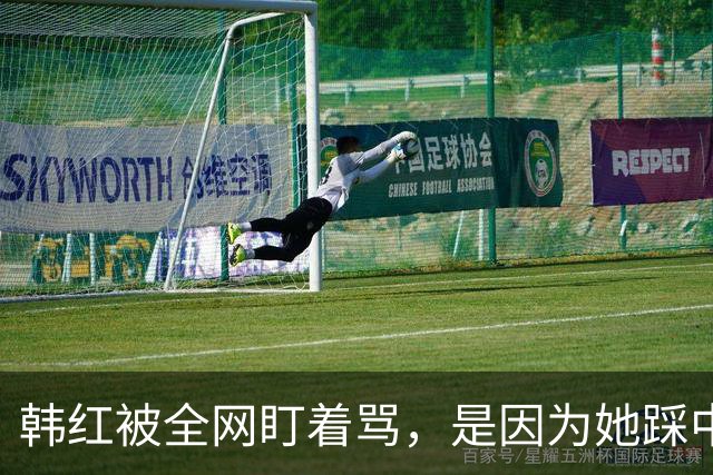 韩红被全网盯着骂，是因为她踩中了，中国观众最讨厌的3个雷区