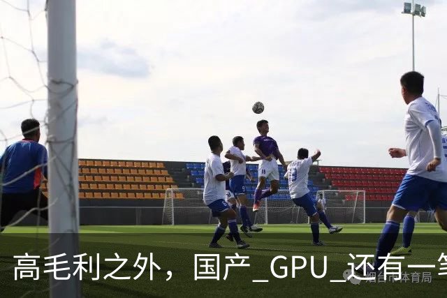高毛利之外，国产 GPU 还有一笔 “软件账”