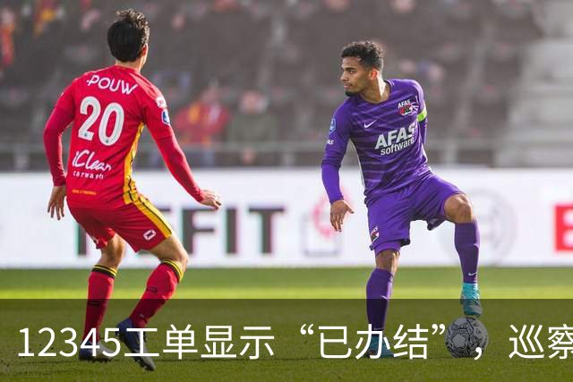 12345工单显示“已办结”，巡察为什么还要继续查？